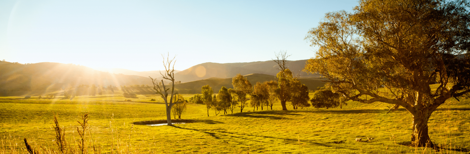 Building a country home WA